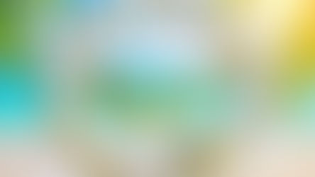 Reisetagebuch von der Glücksreise Hawai'i 2026