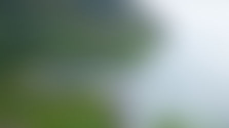 Lichtkreis, Erkenntnisse, Einsichten, Wissen, Besuche, Reisen, Exkursionen, Unterstützung, bewusstes Leben, achtsames Leben, bewusstes Dasein, spirituelles Leben, Seminarreise, Workshop-Reise, hawaiianische Inseln, Inseln Hawaiis, Hawaii-Inseln, ursprüngliche Welt, authentische Welt, ursprüngliche Kultur, Aloha-Spirit, Aloha-Geist, Lebensphilosophie, Lebensanschauung, Lebensweise, Ethik, Liebe, Zuneigung, Mitgefühl, Herzlichkeit, Respekt, Achtung, Wertschätzung, Ehrfurcht, Vergebung, Nachsicht, Verzeihung, Gnade, Selbstliebe, Eigenliebe, Selbstakzeptanz, Selbstwert, Energien, Kräfte, Schwingungen, Impulse, heilen, kurieren, regenerieren, wiederherstellen, Lebensstil, Lebensart, Lebensführung, Lebensweise, Konsumationsüberfluss, Überkonsum, Konsumrausch, Überflussgesellschaft, wohlwollend, gütig, freundlich, hilfsbereit, Sinn des Lebens, Lebenssinn, Lebenszweck, Daseinszweck, Vorbild, Beispiel, Leitfigur, Inspiration, friedvoll, harmonisch, friedlich, ruhig, Balance, Gleichgewicht,