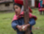 Wishing - Willox School