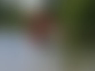 Stage cirque au Poétik Park Ajaccio