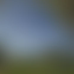 Out of the Rough: Love & Golf