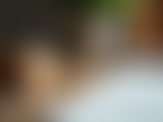 Discover the Artistry of Modaaro Home Decor