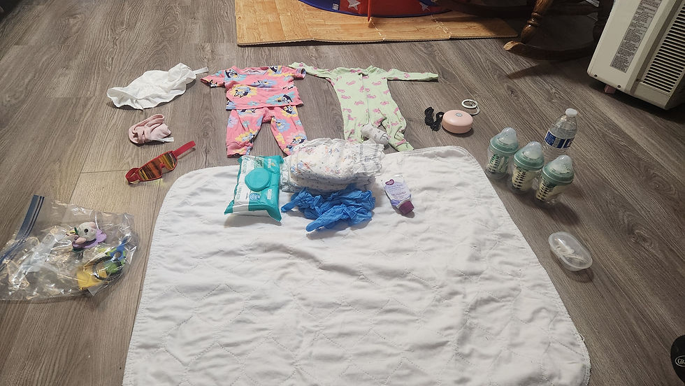 Build Your Own Diaper Bag!