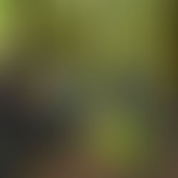 Trail Progression Training Course - 5th October