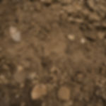 unscreened topsoil