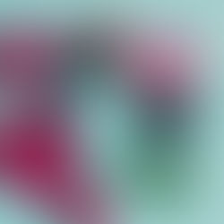 Top Foods to Support Detoxification Naturally