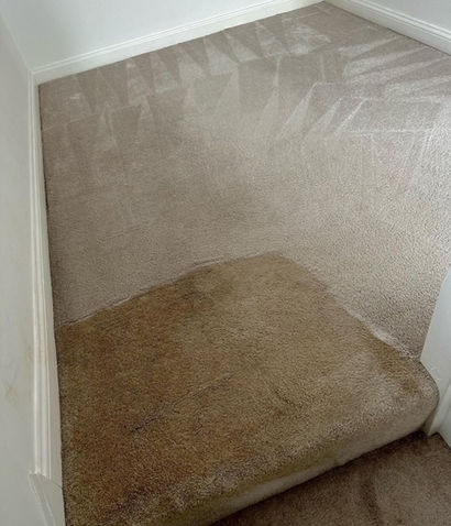 Professional carpet cleaning company in London