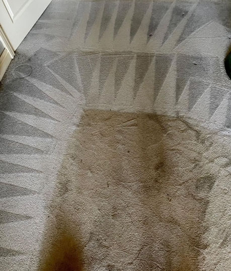 Professional deep carpet cleaning company in London