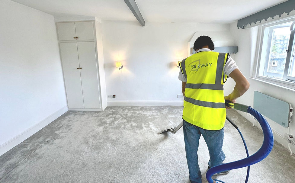 Professional carpet cleaner in London