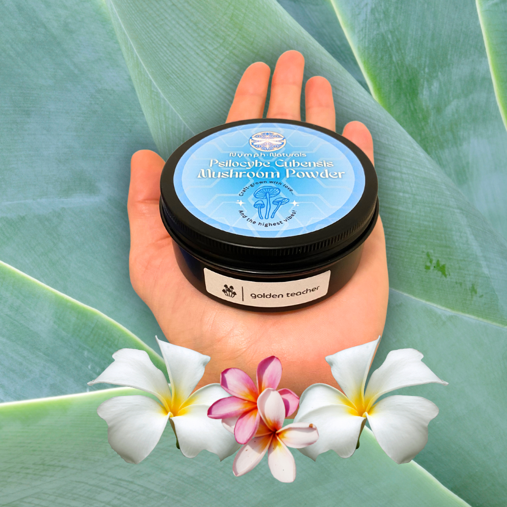 Dry Mushroom Powder 14g