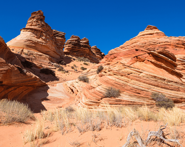 Smooth, wave-like sandstone formations at Cottonwood Cove on a Coyote Buttes South tour.