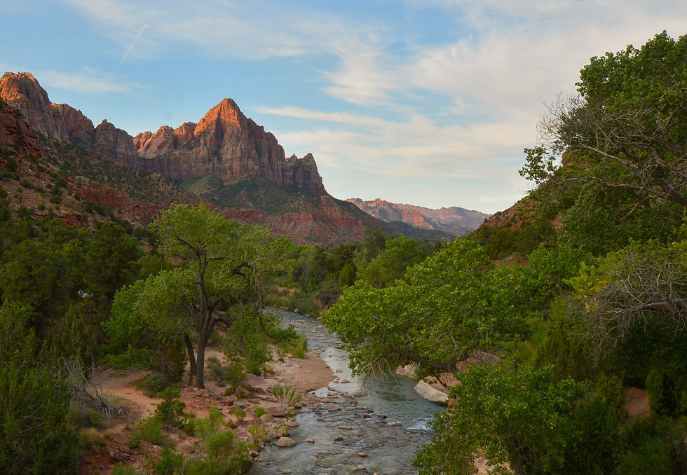 The Virgin River Running Through Zion National Park