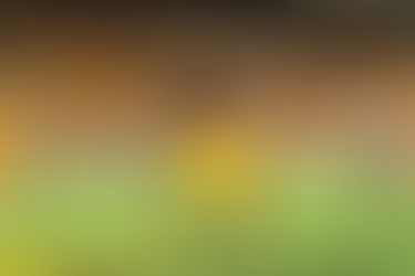 2026 Offseason Preview: WR Edition