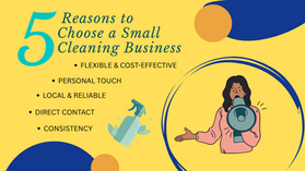 Small cleaning company Vr corporate company