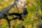 Seattle-Canopy_122.jpg