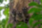 _JLP8191-Mejorado-NR.jpg