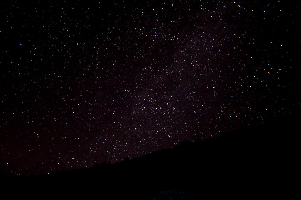 WEB画像用背景.jpg