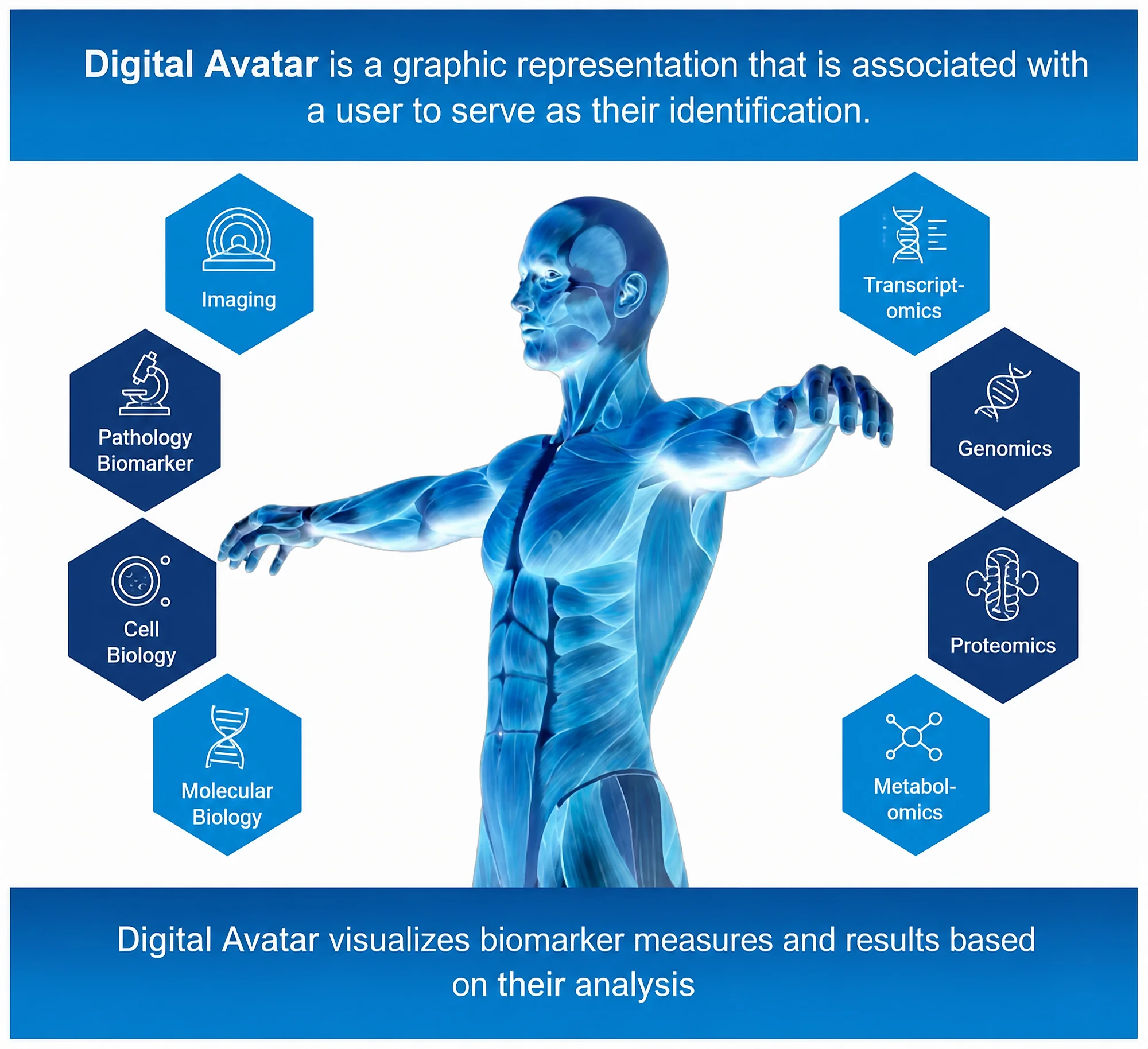 Digital Health Avatar with biomarker analysis
