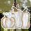 Thumbnail: White Pumpkins with Gull