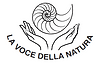 Logo LDN.PNG