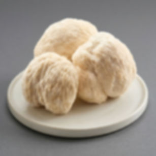 Frischer Igelstachelbart / Lion's Mane Pilz 1 Kg