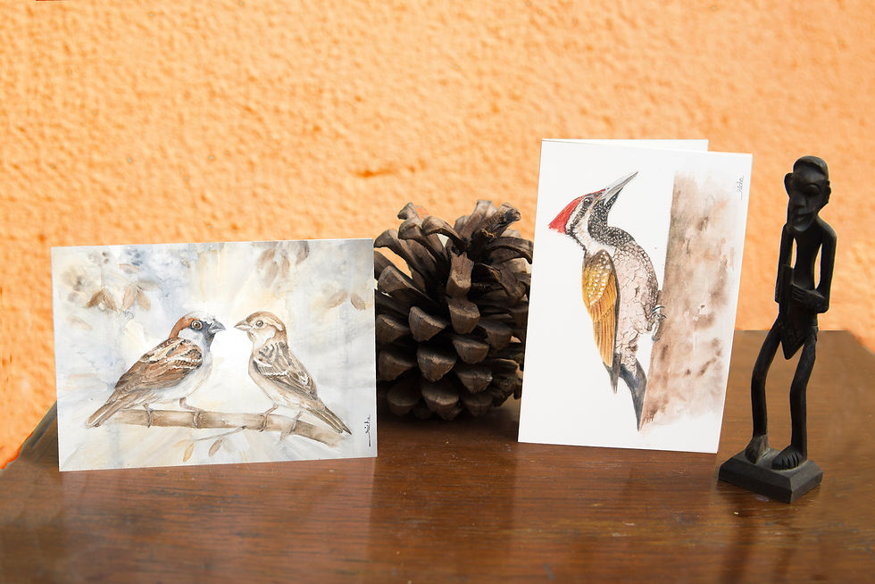 Thumbnail: Bird Greeting Cards (Set of 6)