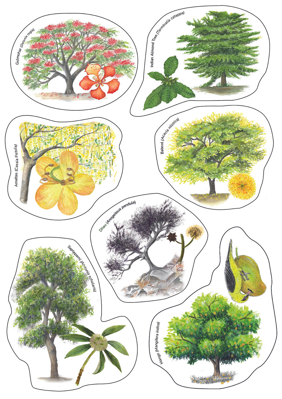 Thumbnail: Tree Stickers-15 trees