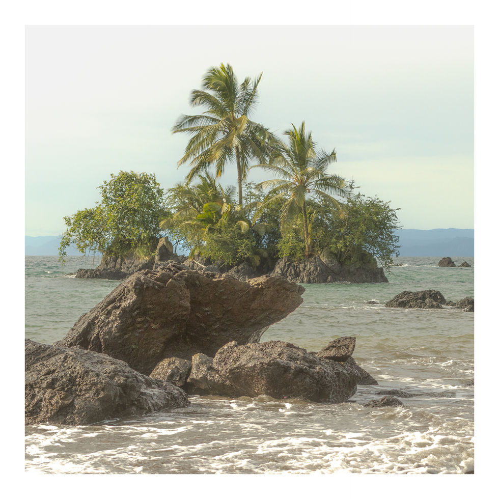 Tropical island with palm trees and rocky coastline, landscape nature photography.