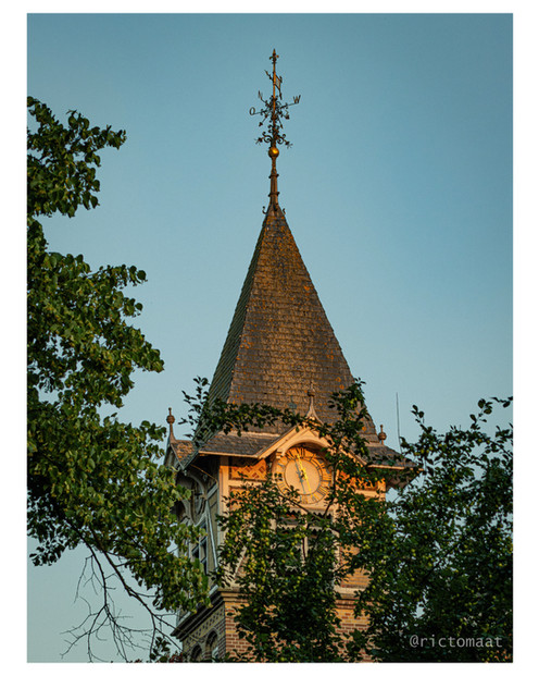 A tall pointed clocktower partially obscured by green trees, lit warmly by the setting sun against a pale blue sky.
