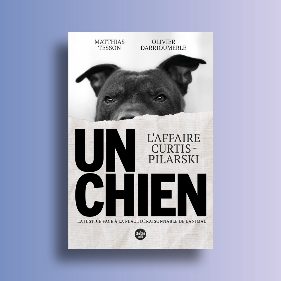 Couverture designée pour le livre "Un chien", présentant un fait divers. Ainsi, le titre de couverture est inscrit sur une feuille de papier journal déchirée, au dessus, on voit la tête d'un chien.