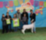 3rd Overall Ewe Hair Sheep Division