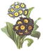 Black and Yellow Flowers Illustration