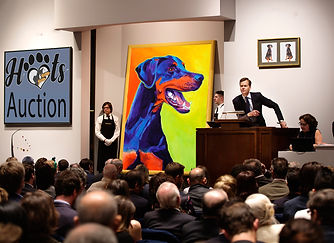 Auction hots dobermann rescue