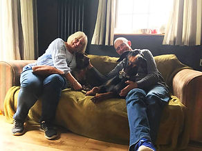 Diesel happy hots dobermann rescue