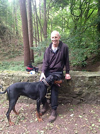 Diesel Dobermann hots dobermann rescue