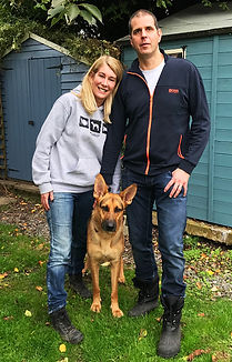 Ray German Shepherd hots dobermann rescue