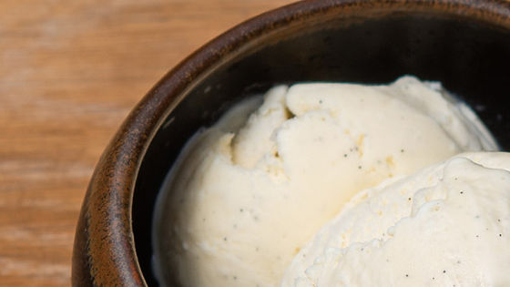 Kapiti Vanilla Bean Icecream