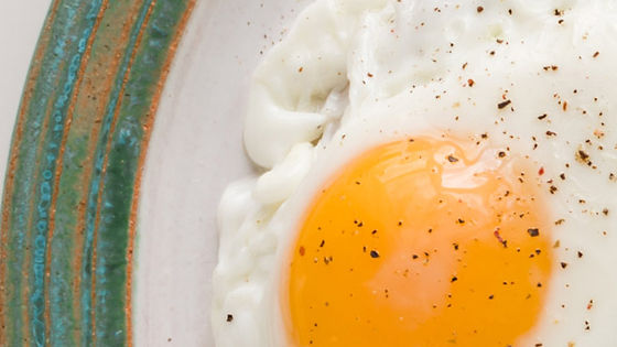 Free range egg