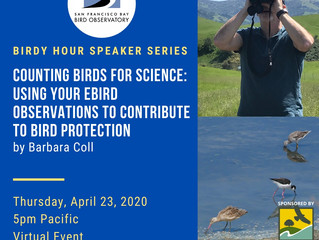 Counting Birds for Science - and Zoom