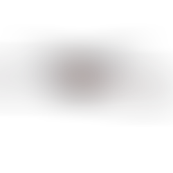 The Yucatán and Flamingos