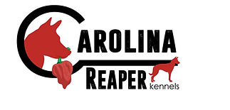crk logo.jpg