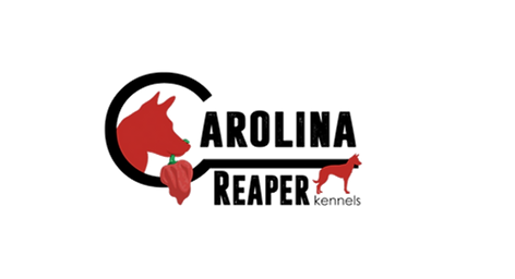 crk logo 2_edited_edited_edited_edited_edited_edited_edited_edited_edited_edited.png