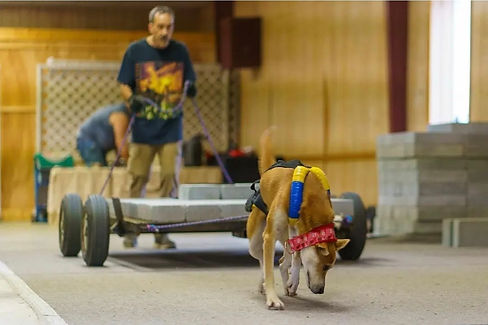 Juke box weight pull.jpg