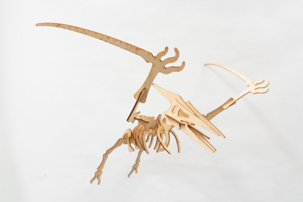 Pterodactyl Puzzle