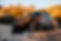 IGNITE_2015_1201_MG_0668.jpg