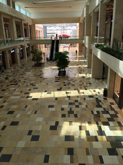 IMG_0133.jpeg