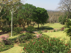 Zambezi Safari Tour & Victoria Falls