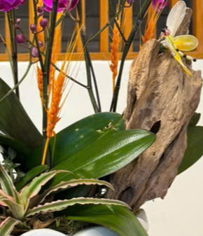 Hình thu nhỏ: Bình An