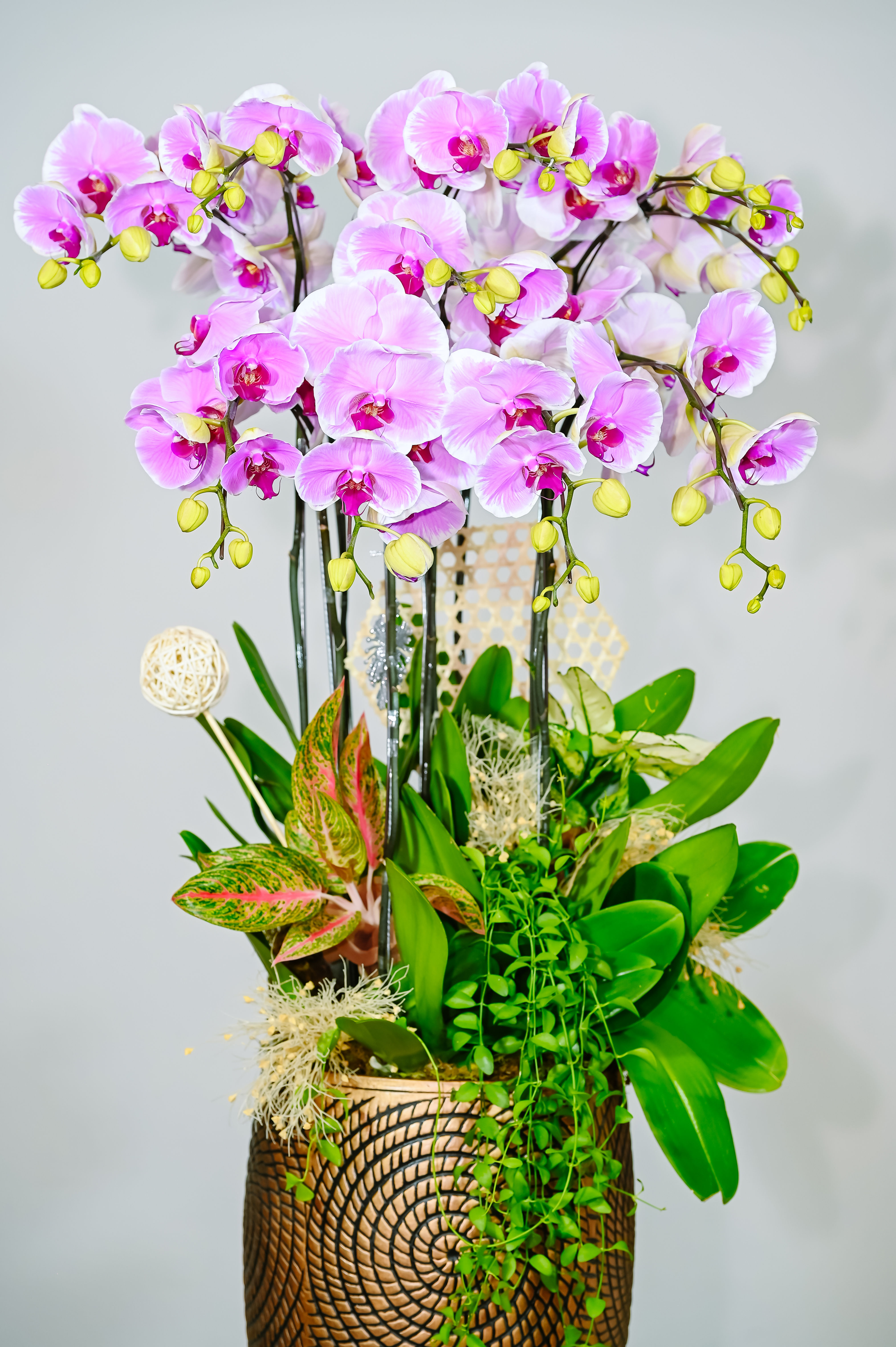 Hoàng Kim Tài Phúc