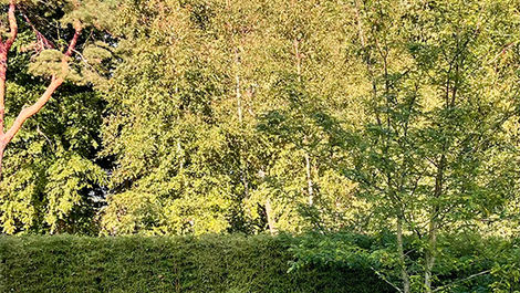 Kleurrijke dynamiek in elk seizoen 